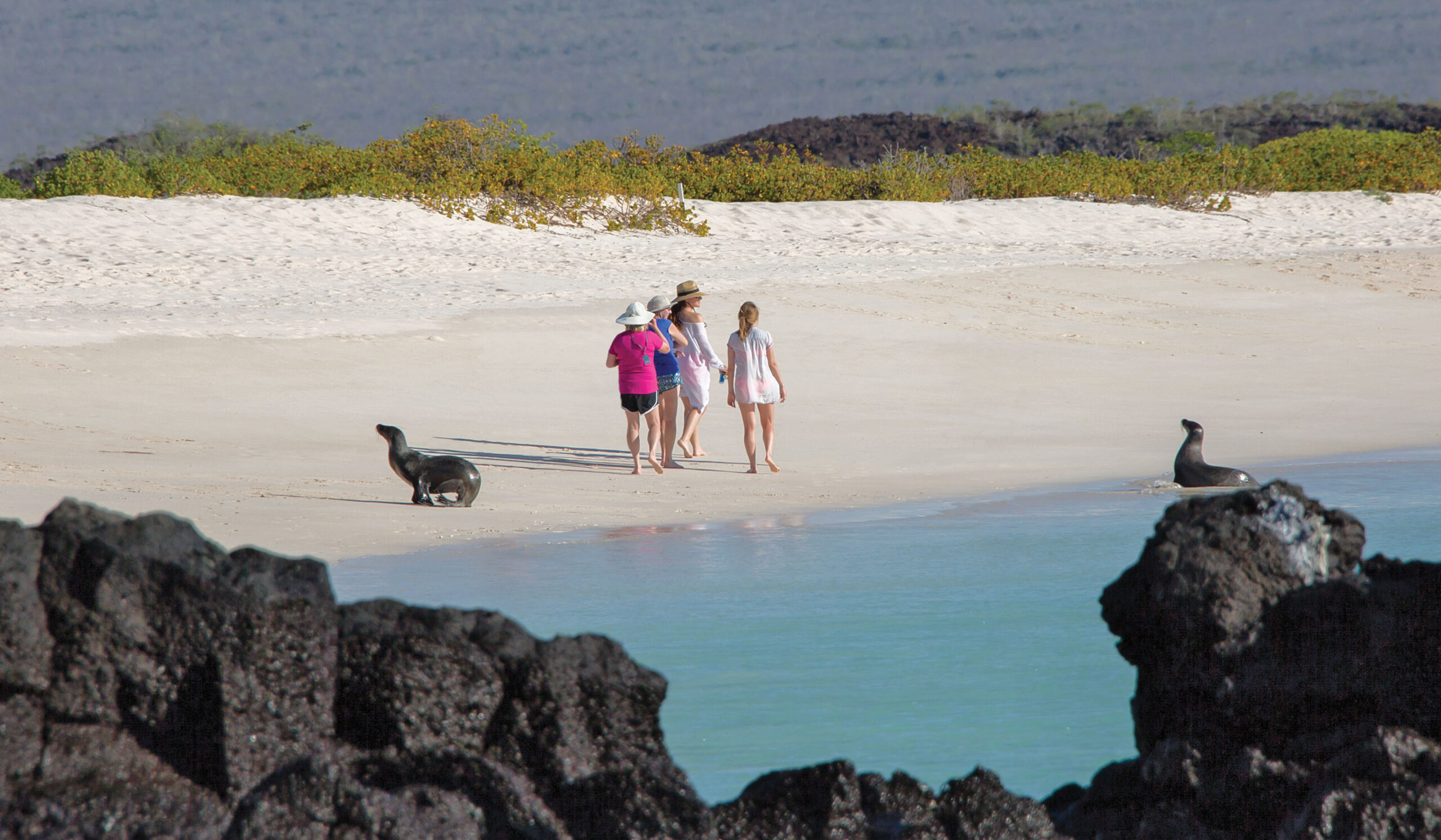 Galapagos: Wildlife Wonderland