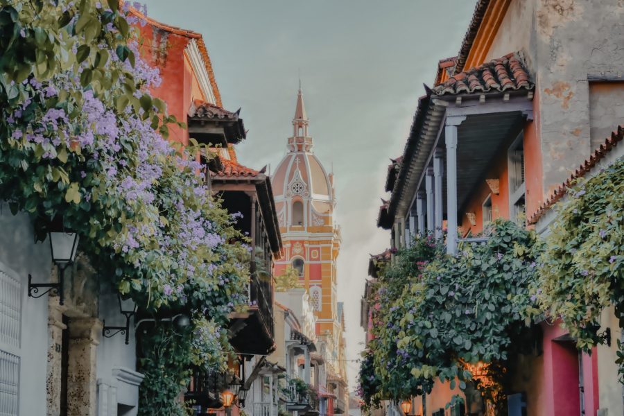 A Journey through Enchanting Nature & the Marvels of the Panama Canal