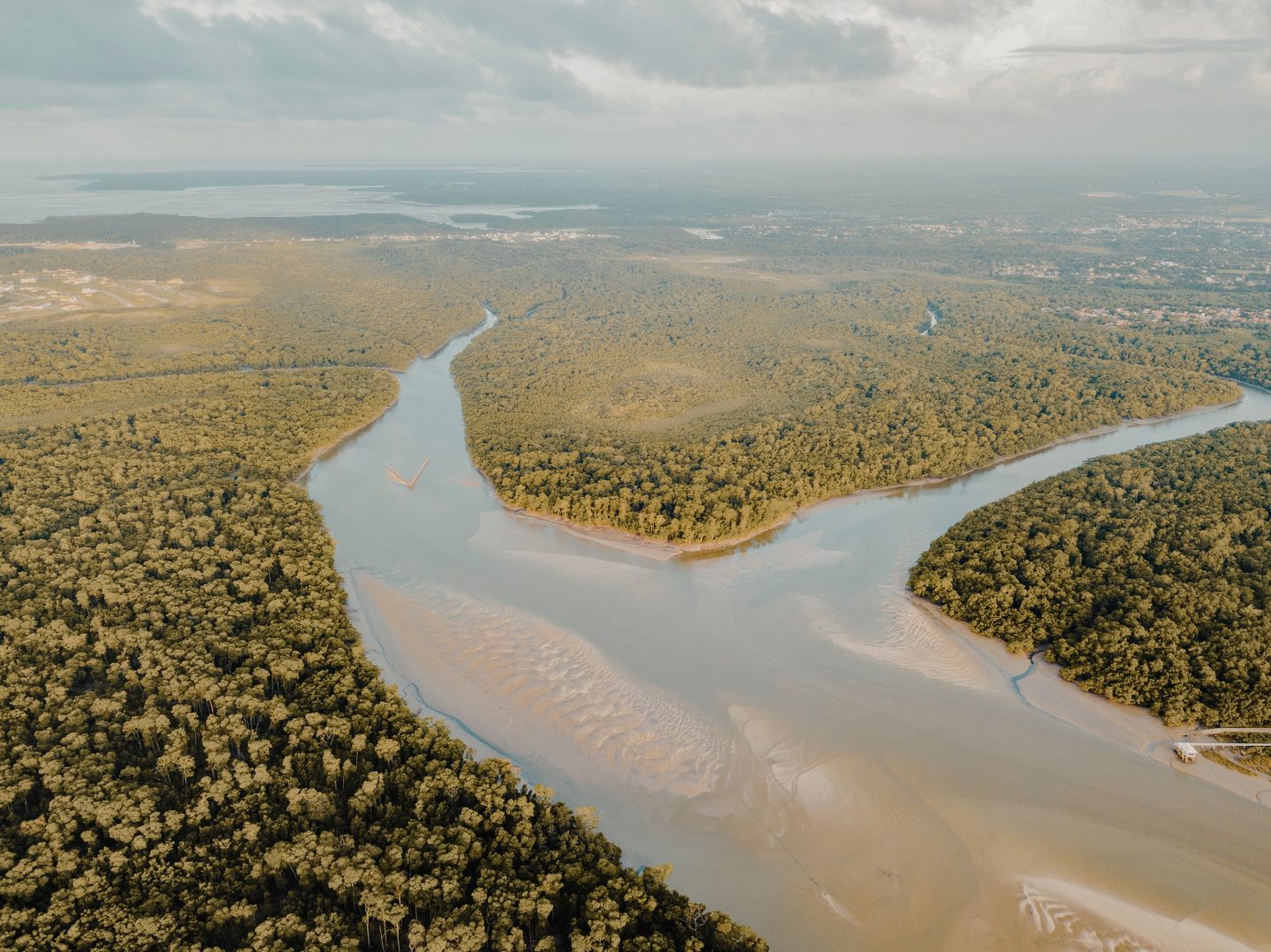 A Journey of Amazon Exploration & Cultural Discovery