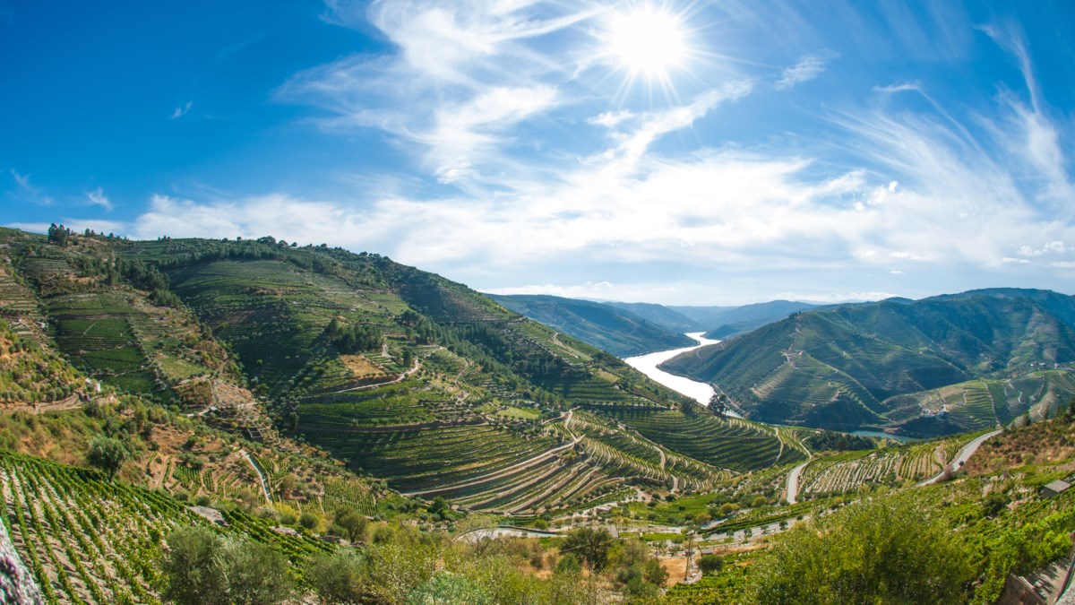 Douro River Valley  (2027)