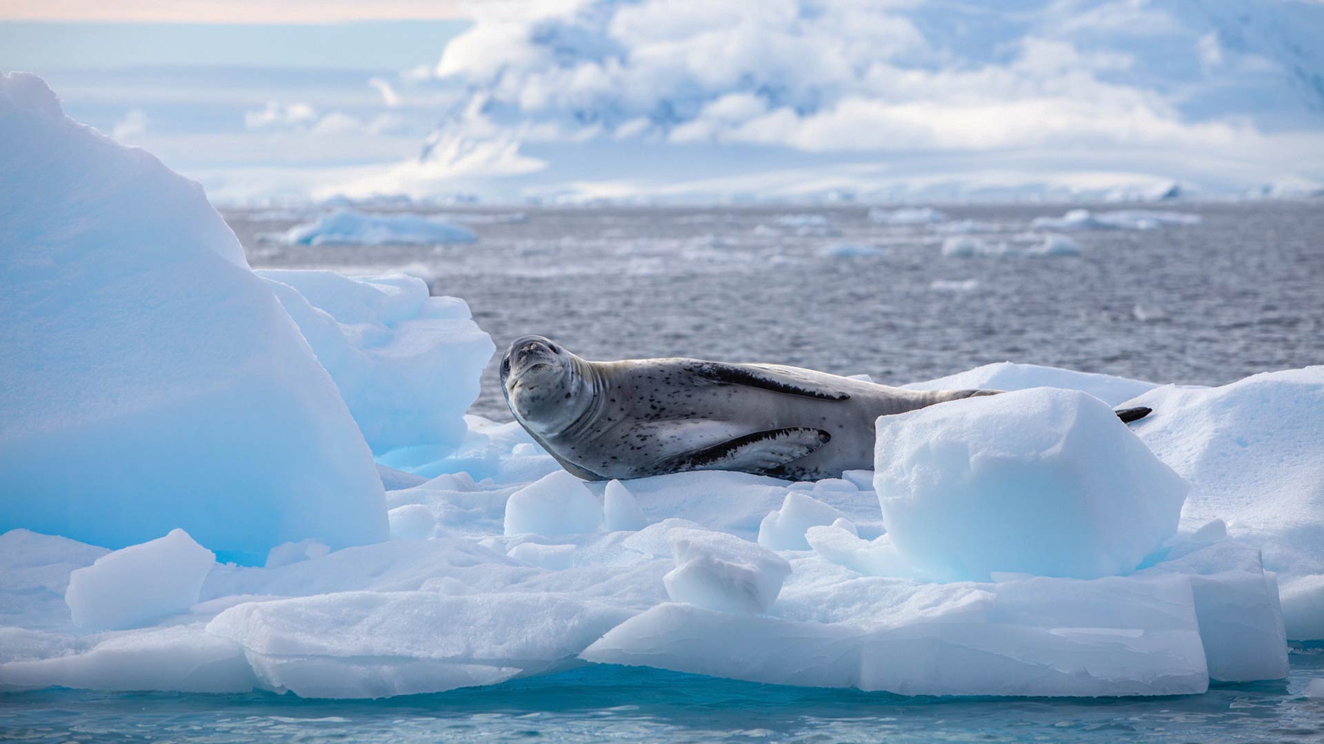 Ushuaia to King George Island