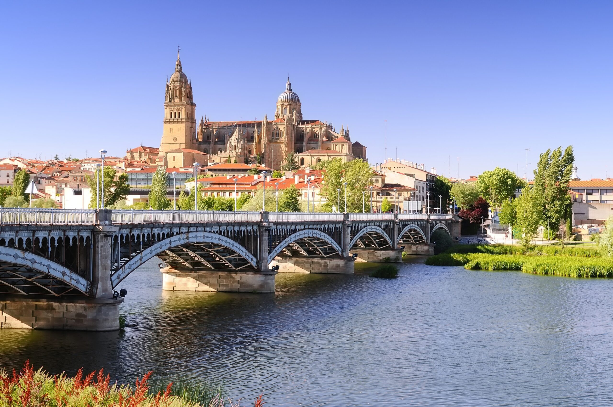 Douro, Porto and Salamanca River Cruise with Porto Extension