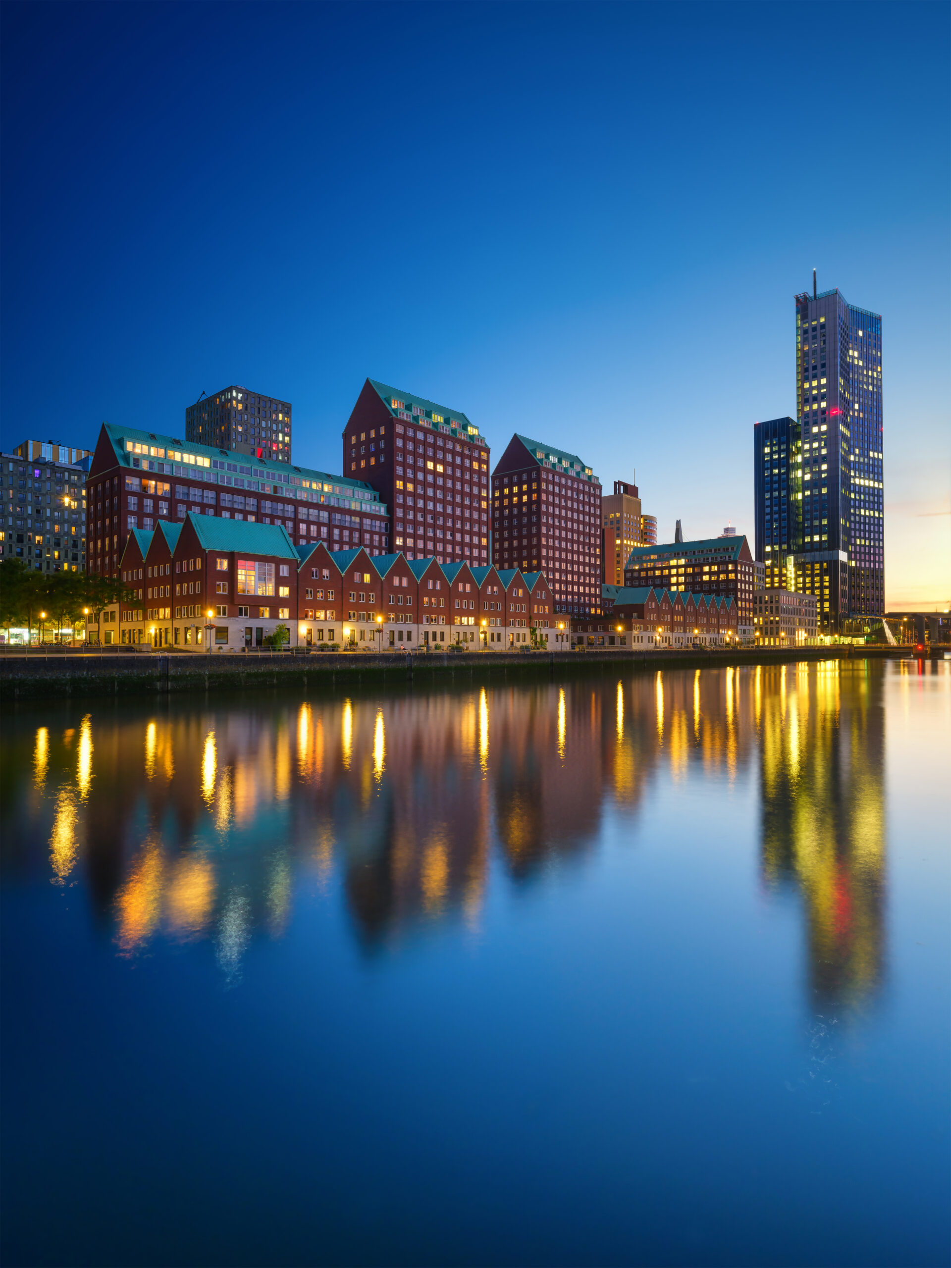 Amsterdam, Kinderdijk and the Dutch Bulbfields River Cruise for solo travellers