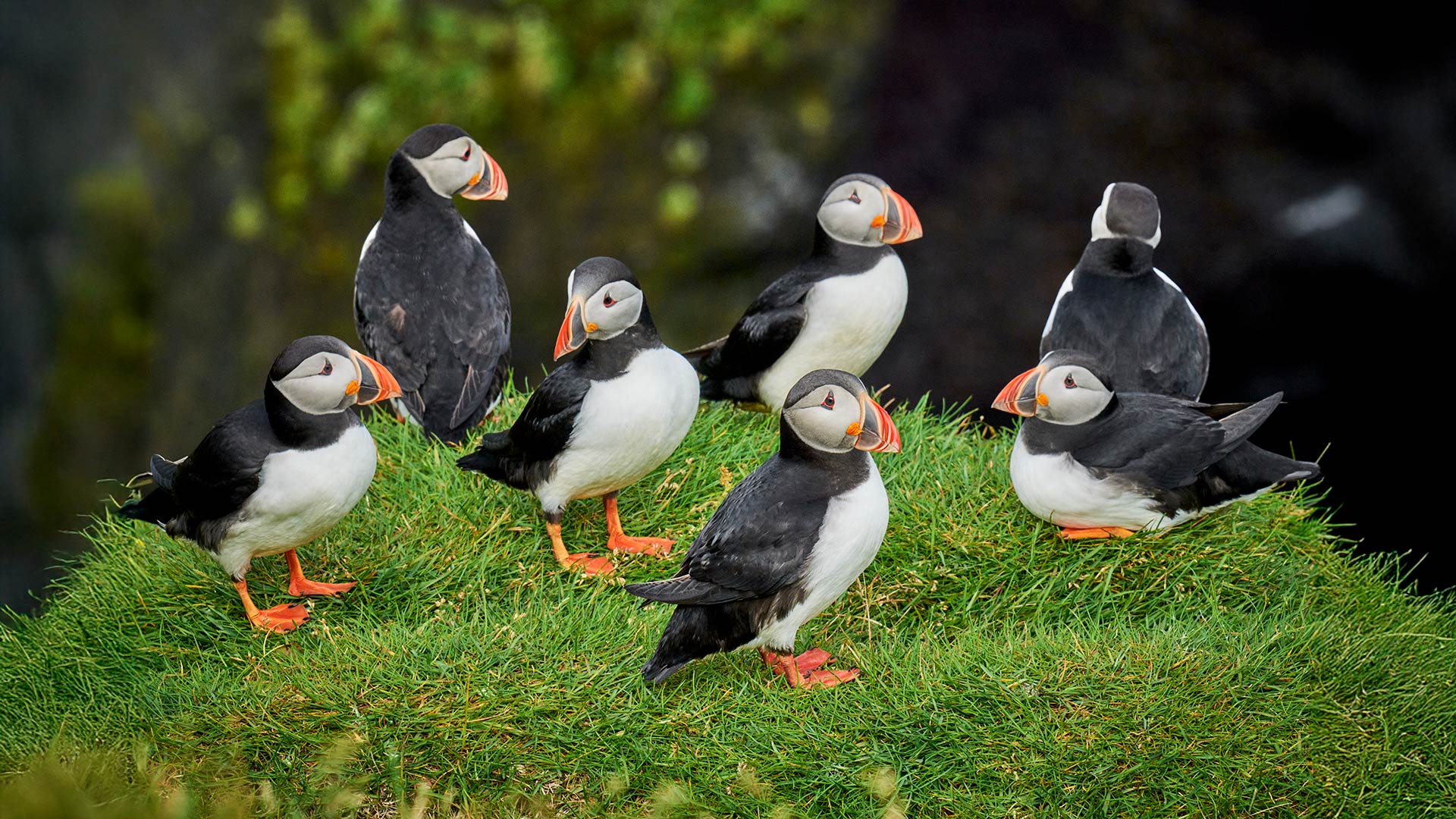 Reykjavík To Longyearbyen