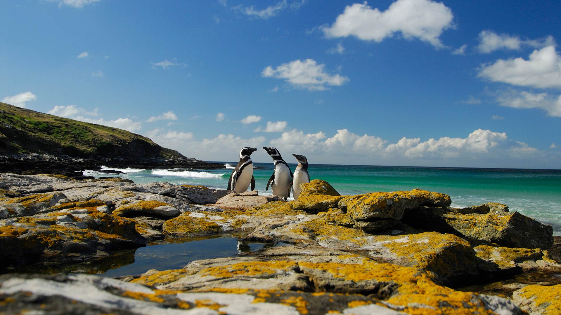 Ushuaia To Buenos Aires