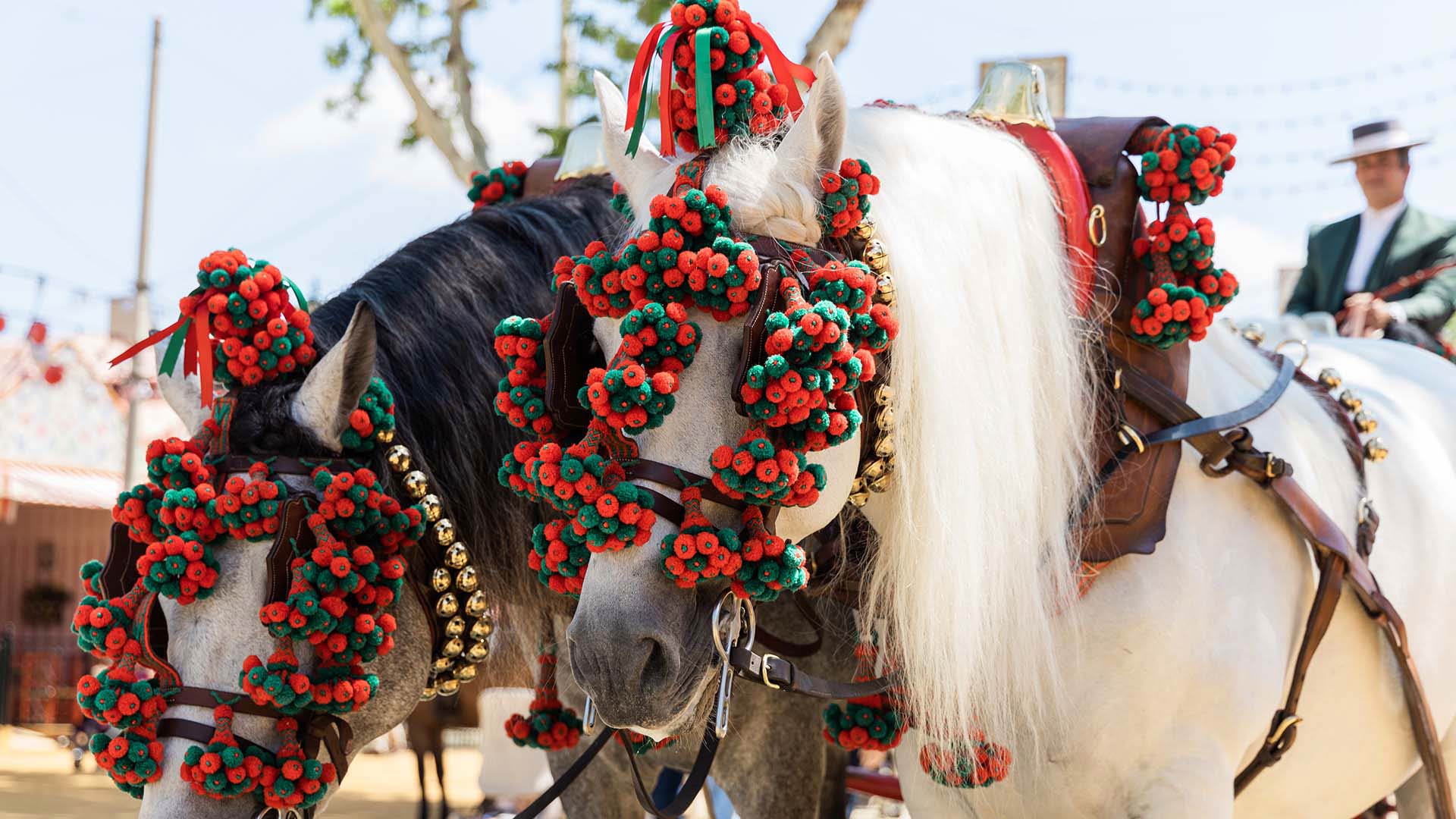 Las Palmas to Seville