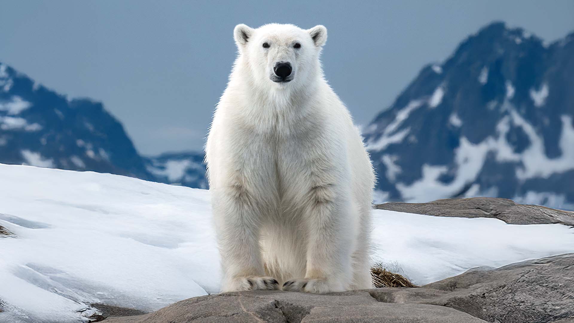 Longyearbyen to Reykjavík