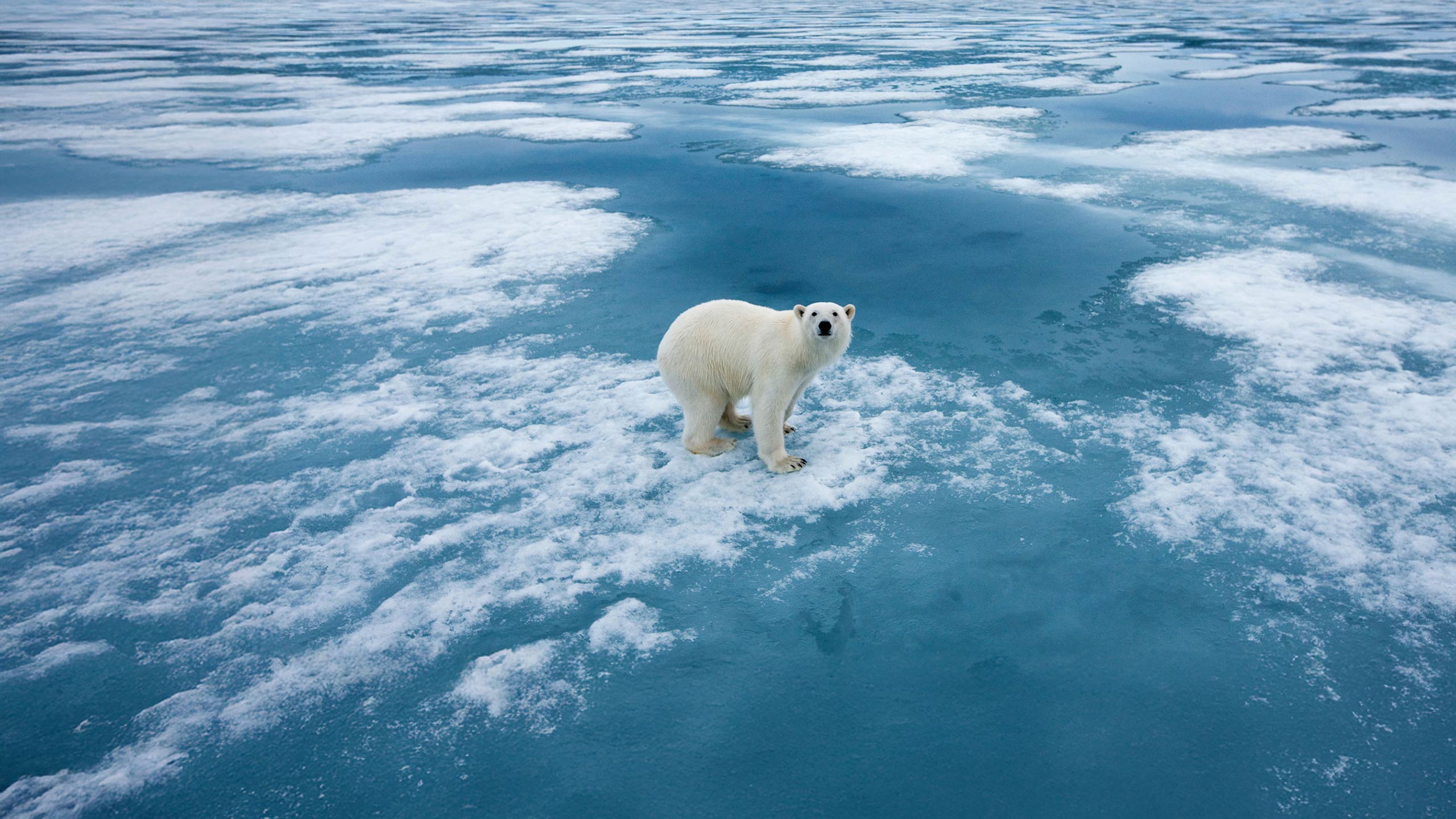 Longyearbyen Roundtrip