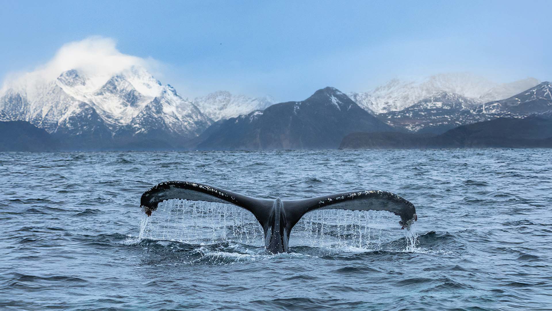 Reykjavík to Longyearbyen