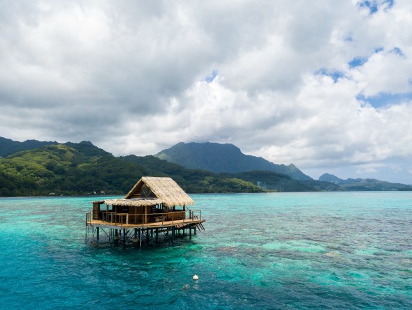 DREAMS OF TAHITI AIR + HOTEL PACKAGE FROM LAX