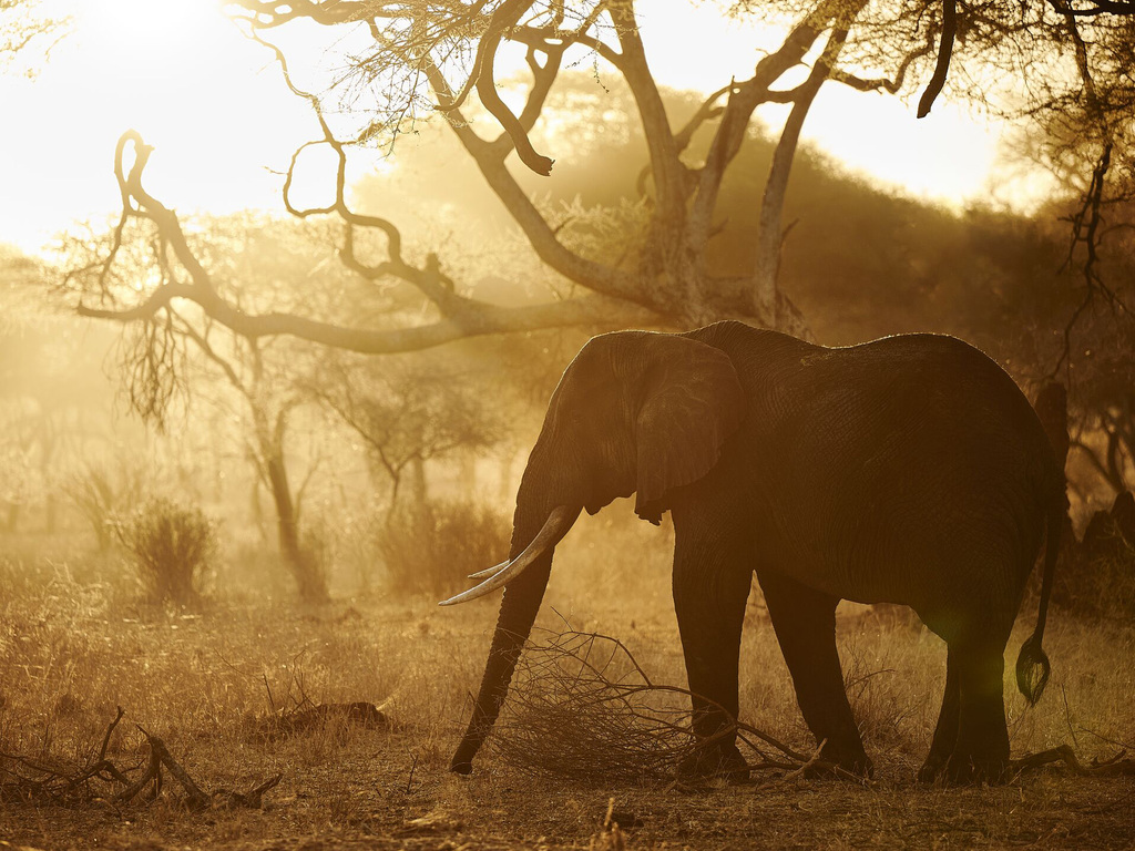 A&K Sanctuary Tanzania Safari