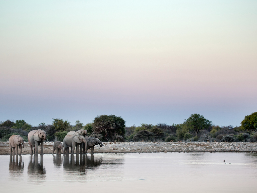 Luxury Safari Honeymoon in Southern Africa