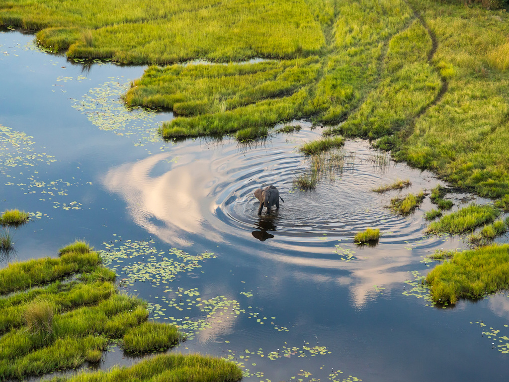 Ultimate Botswana Safari