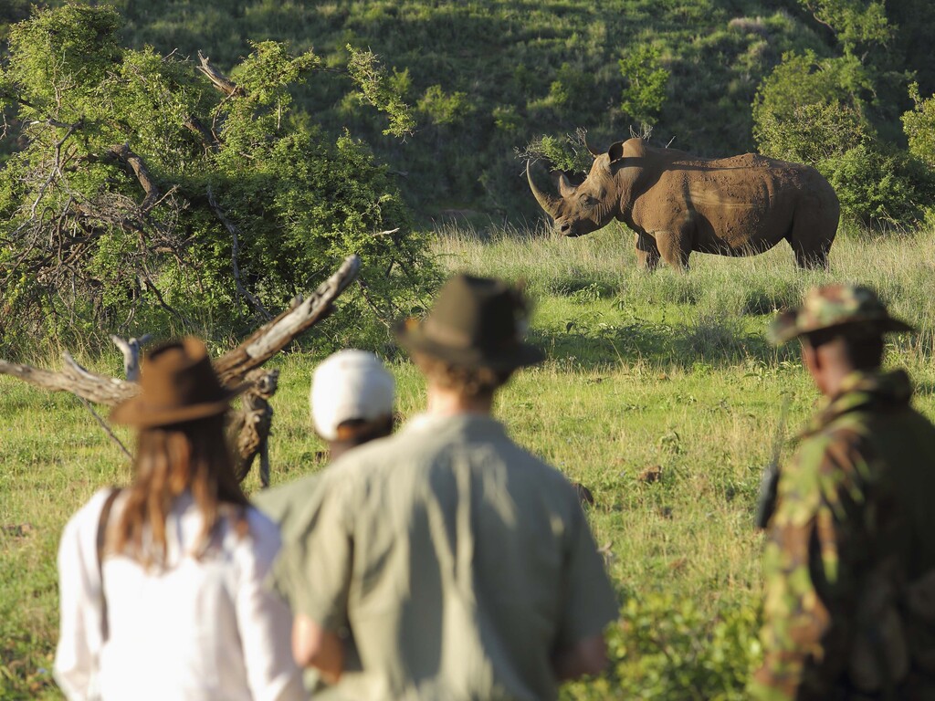 Kenya Private Villa Safari
