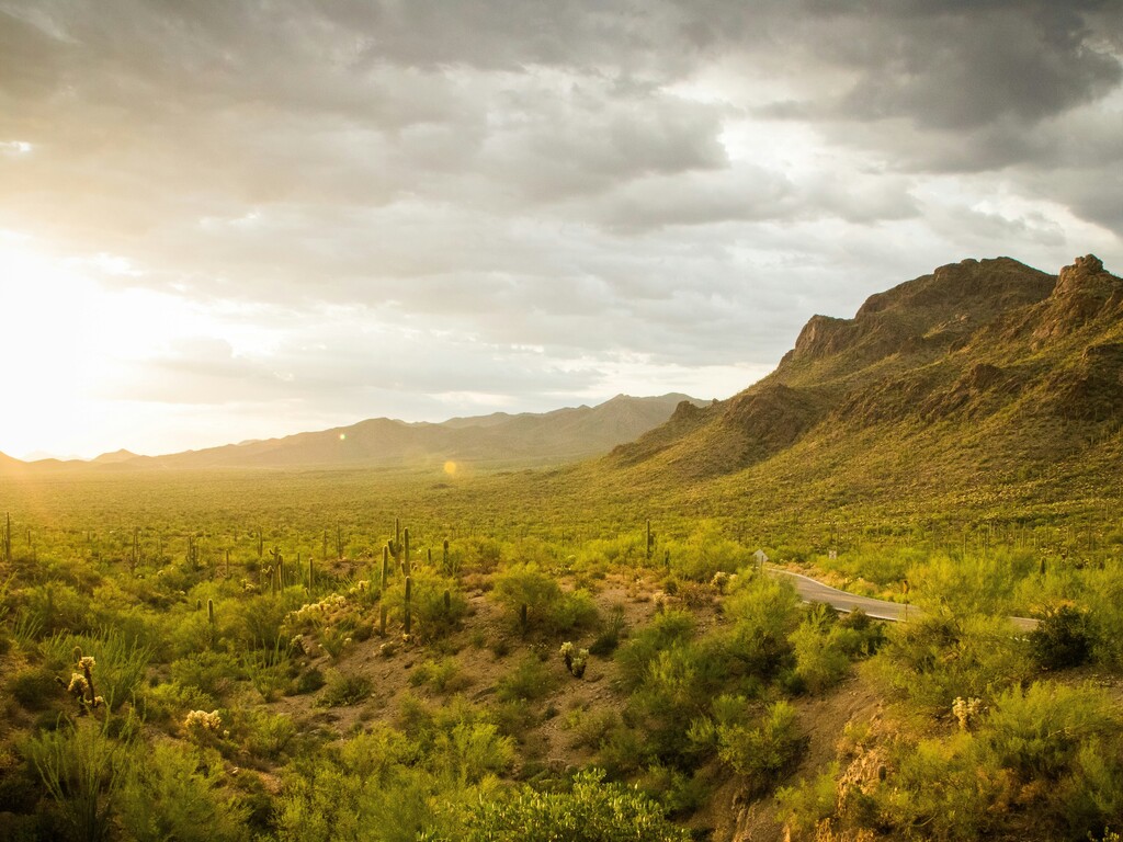 Wild West Adventure in Arizona