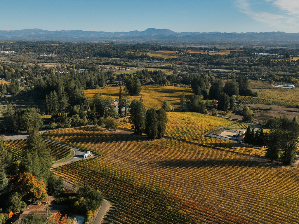 Sonoma: A Culinary Adventure