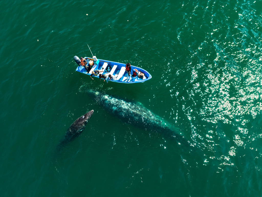 Mexico by Private Jet