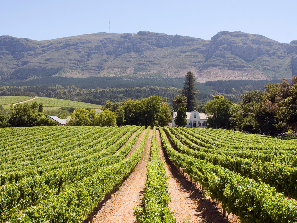 Ultimate South Africa Adventure