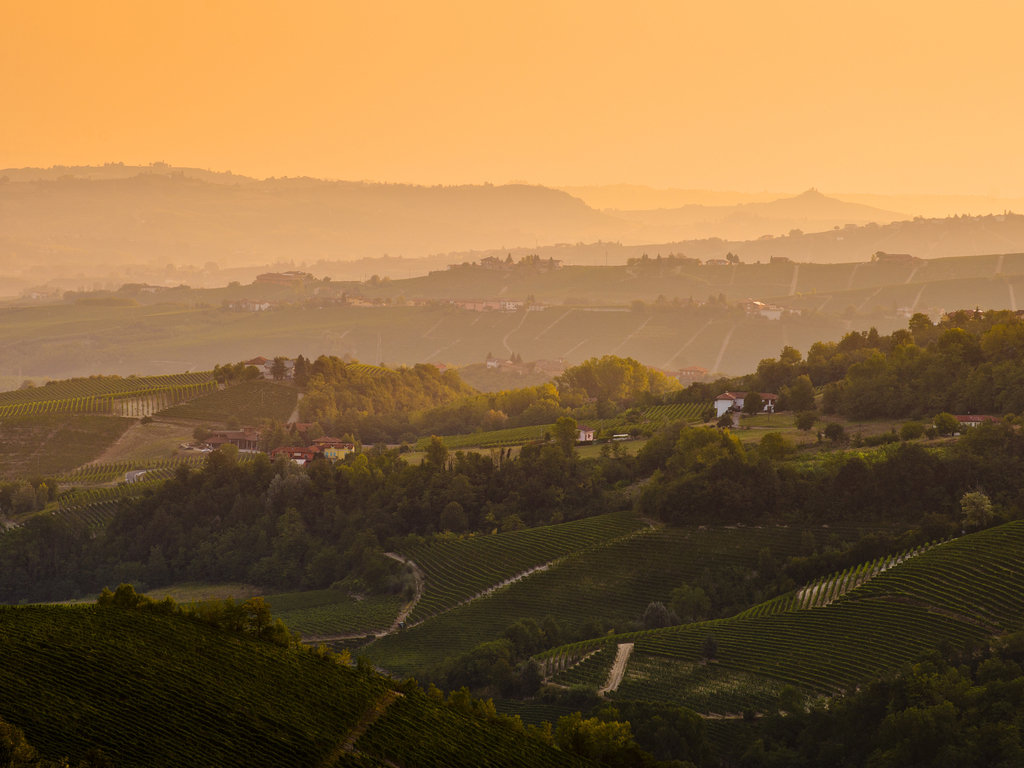 A Food Journey Through Piedmont