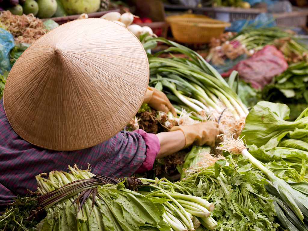 Vietnam: Cultural and Culinary Adventure