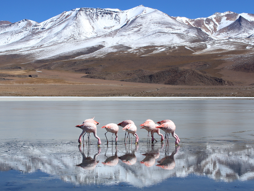 Argentina, Chile and Brazil by Private Jet