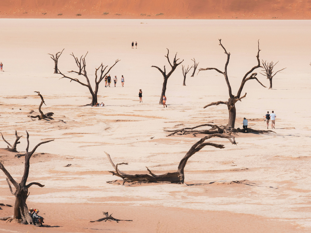 Untouched Namibia: Dunes and Desert Safari