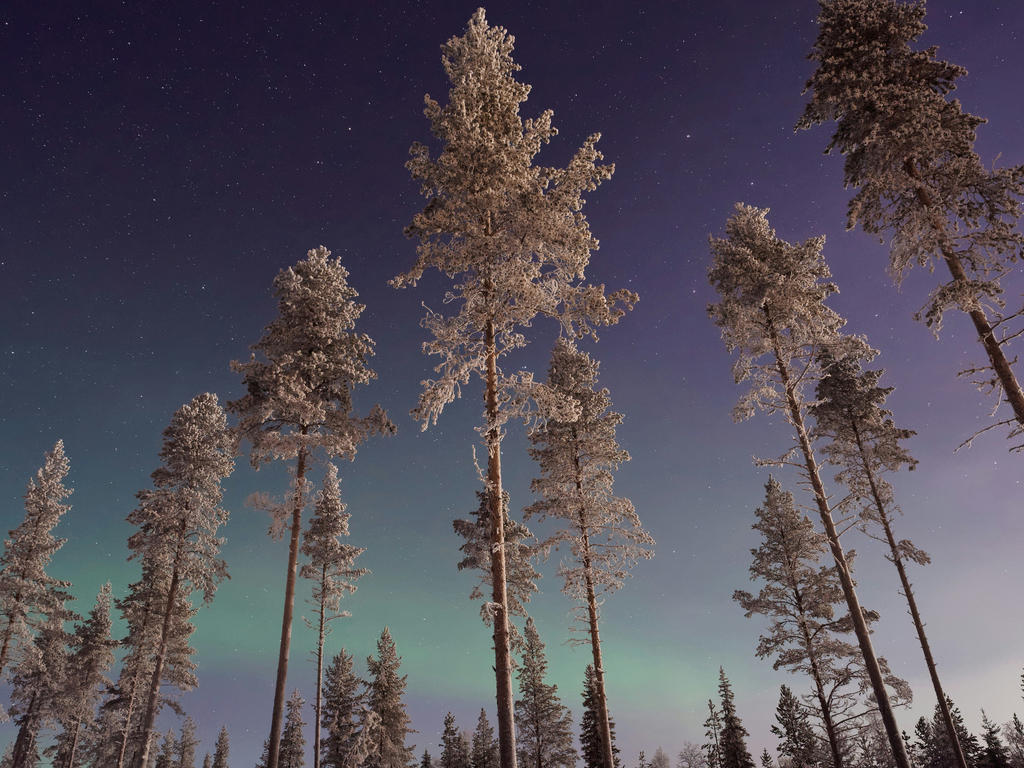 Finnish Lapland: A Winter Wonderland