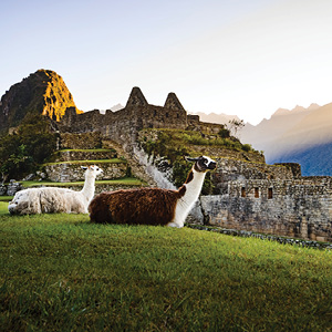 Independent Machu Picchu & Cusco Getaway