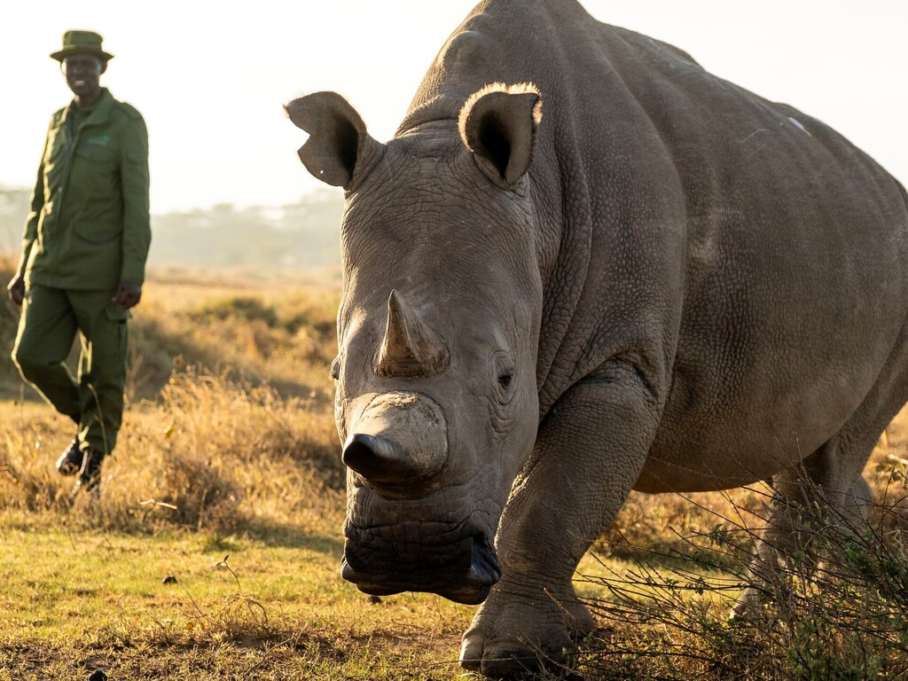 A&K Sanctuary Kenya Safari