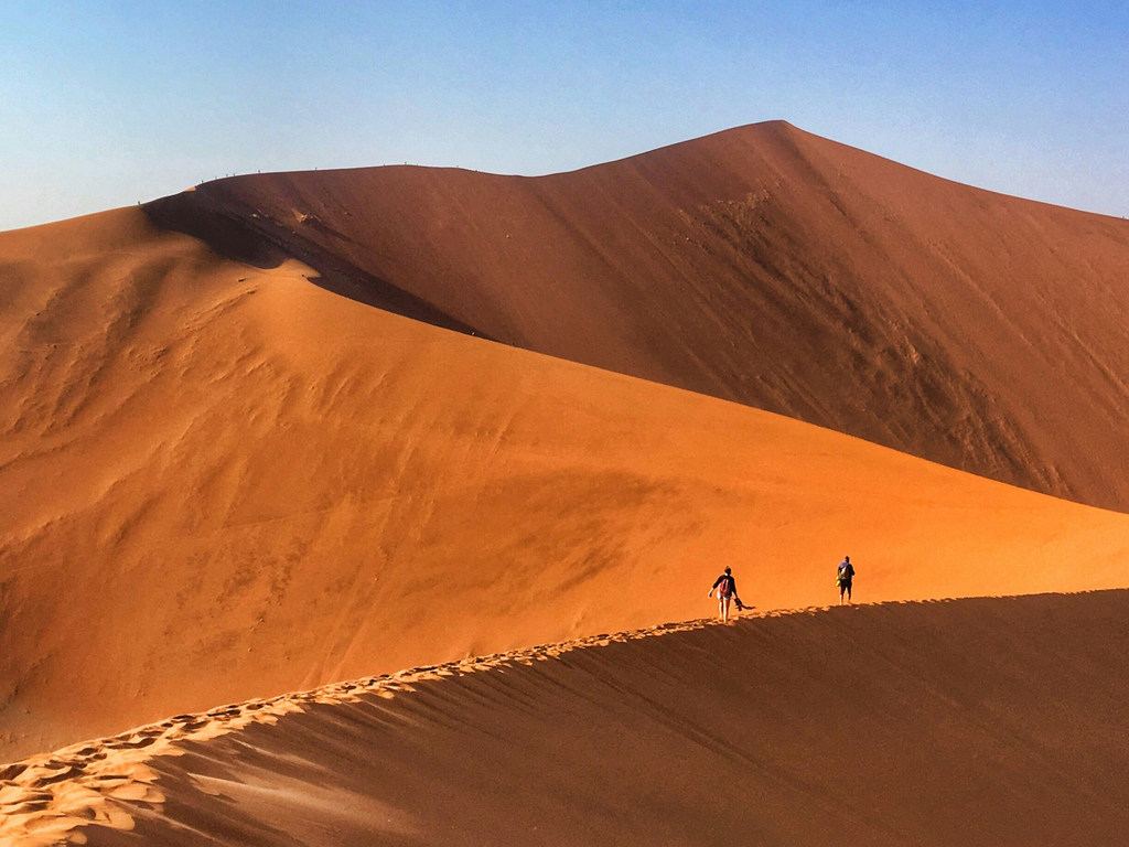 A Desert Safari in Namibia