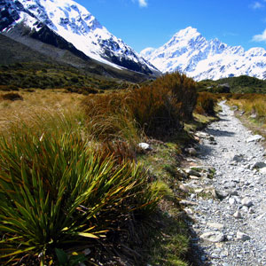 Spectacular Australia With The Historic Ghan Train