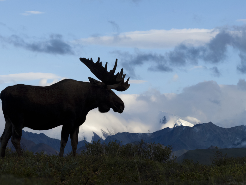 Family Adventure in Alaska