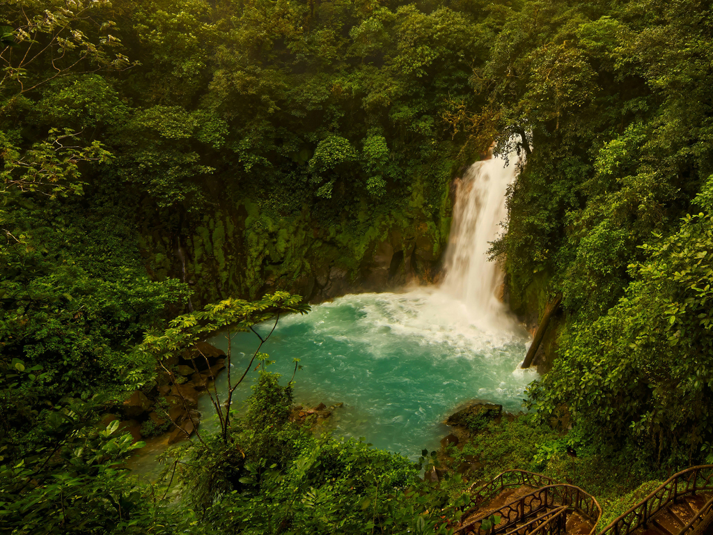 Costa Rica Rainforest Adventure