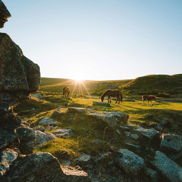 Best of Devon and Cornwall