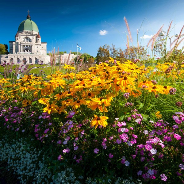 Best of Eastern Canada End Montreal