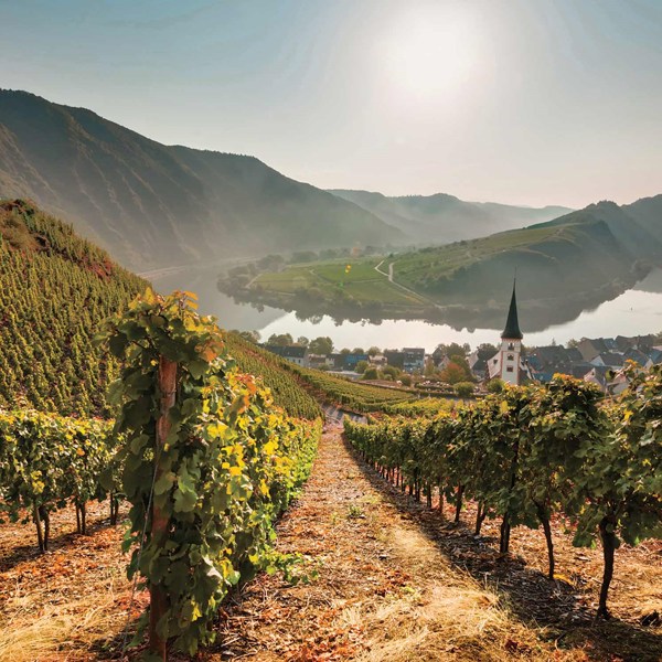 Best of Germany and Austria