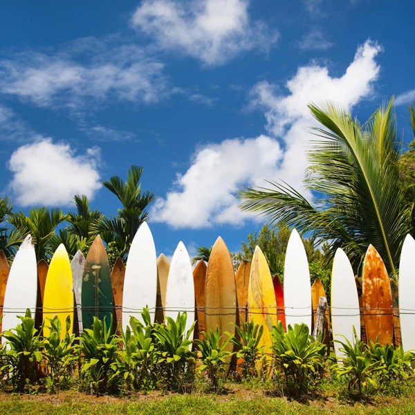 Best of Hawaii Moderate