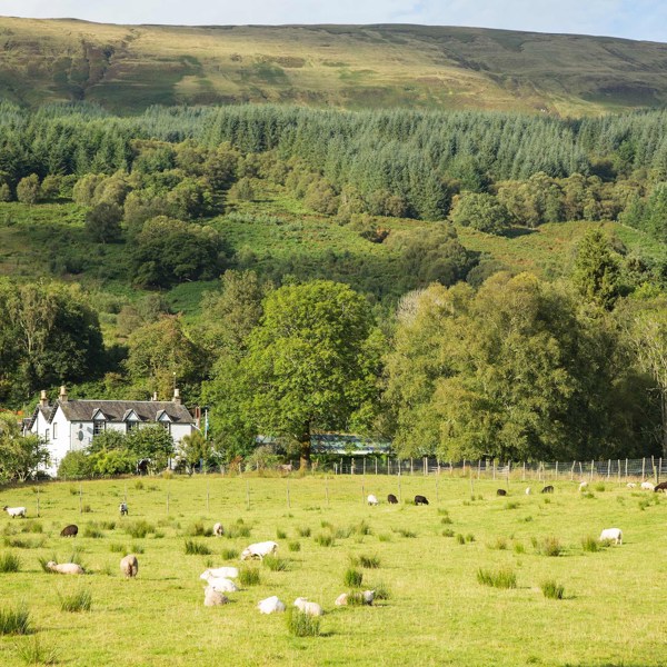 Best of Ireland and Scotland