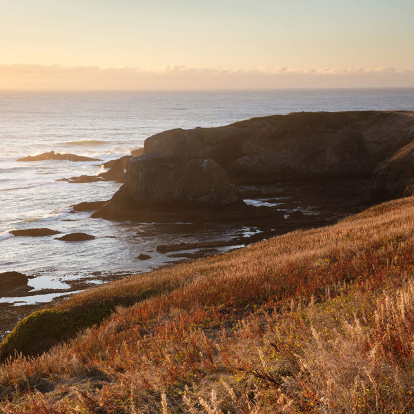 Best of the Pacific Northwest