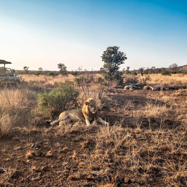 Best of South Africa