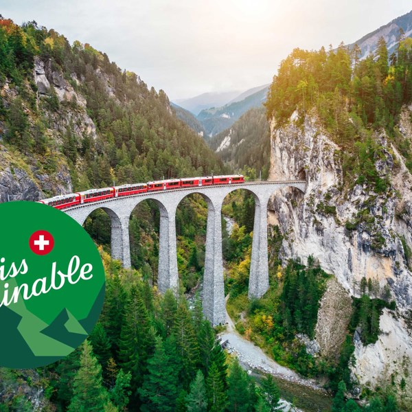 Contrasts of Switzerland