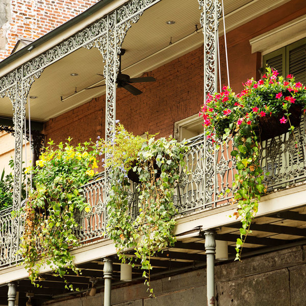 Soul of the Deep South, a Women-Only Tour