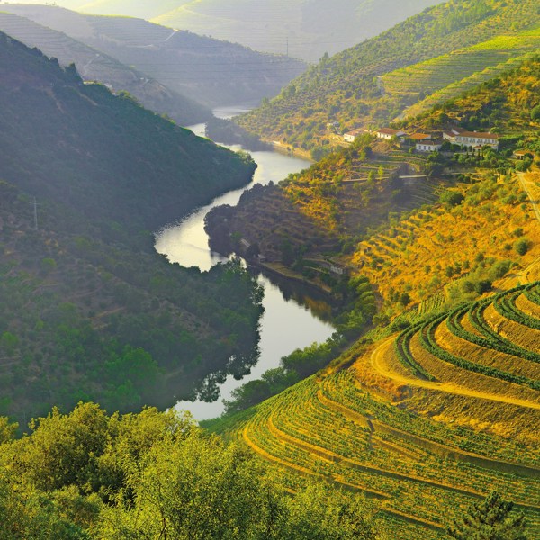 Country Roads of Portugal - Classic Group