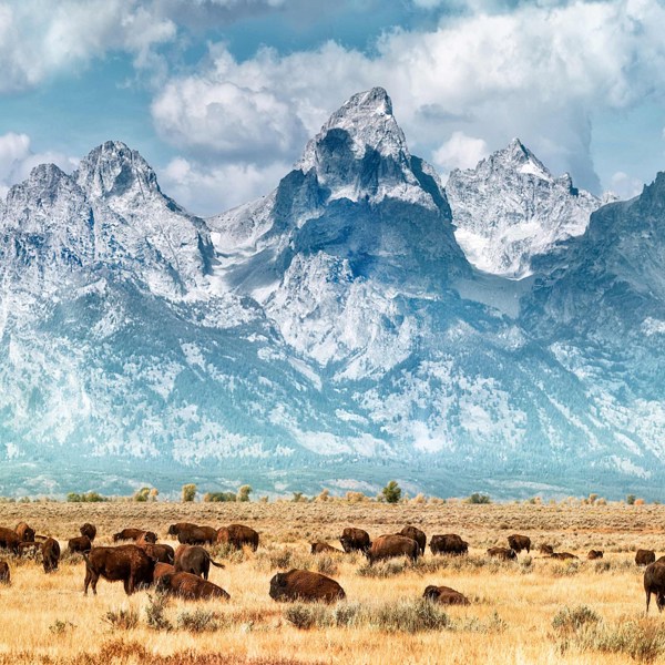 Five Epic National Parks