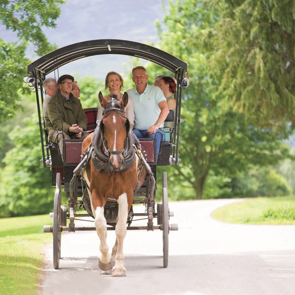 Focus on Ireland - Small Group