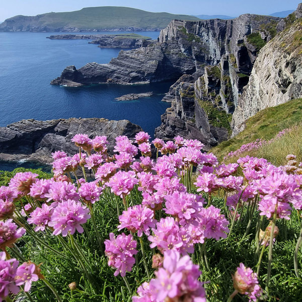 Ireland's Icons - Small Group