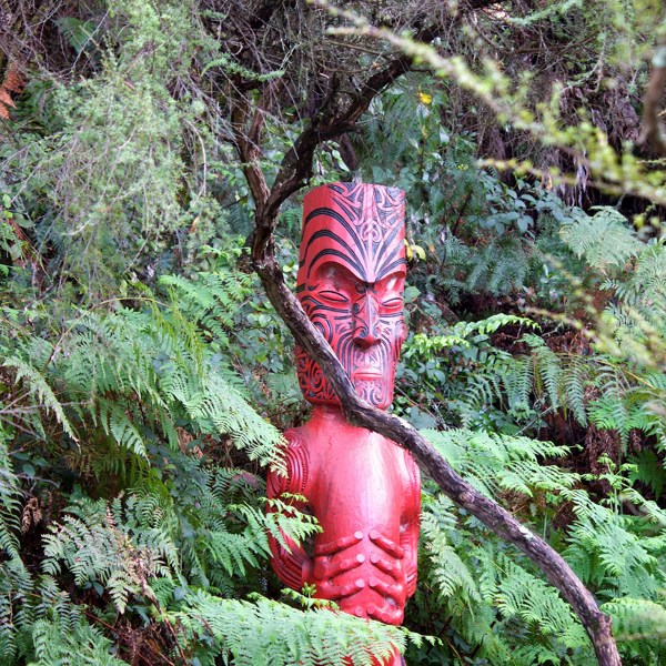 New Zealand Panorama