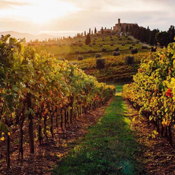 Rome and Tuscan Highlights