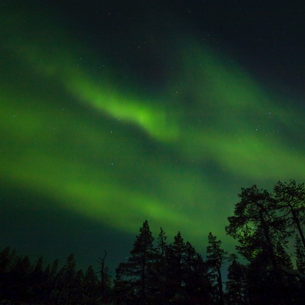 Scandinavian Northern Lights
