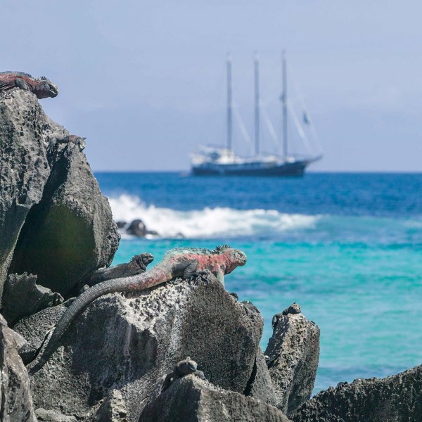 South America Revealed with Galápagos Legend North and Central Cruise